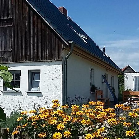 Zum Storchennest Hotel Kemnitz  Luaran gambar
