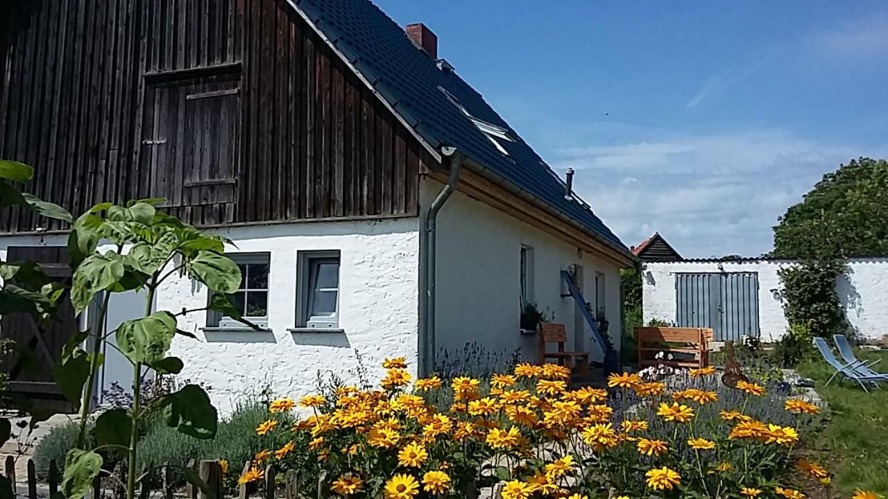 Zum Storchennest Hotel Kemnitz  Luaran gambar
