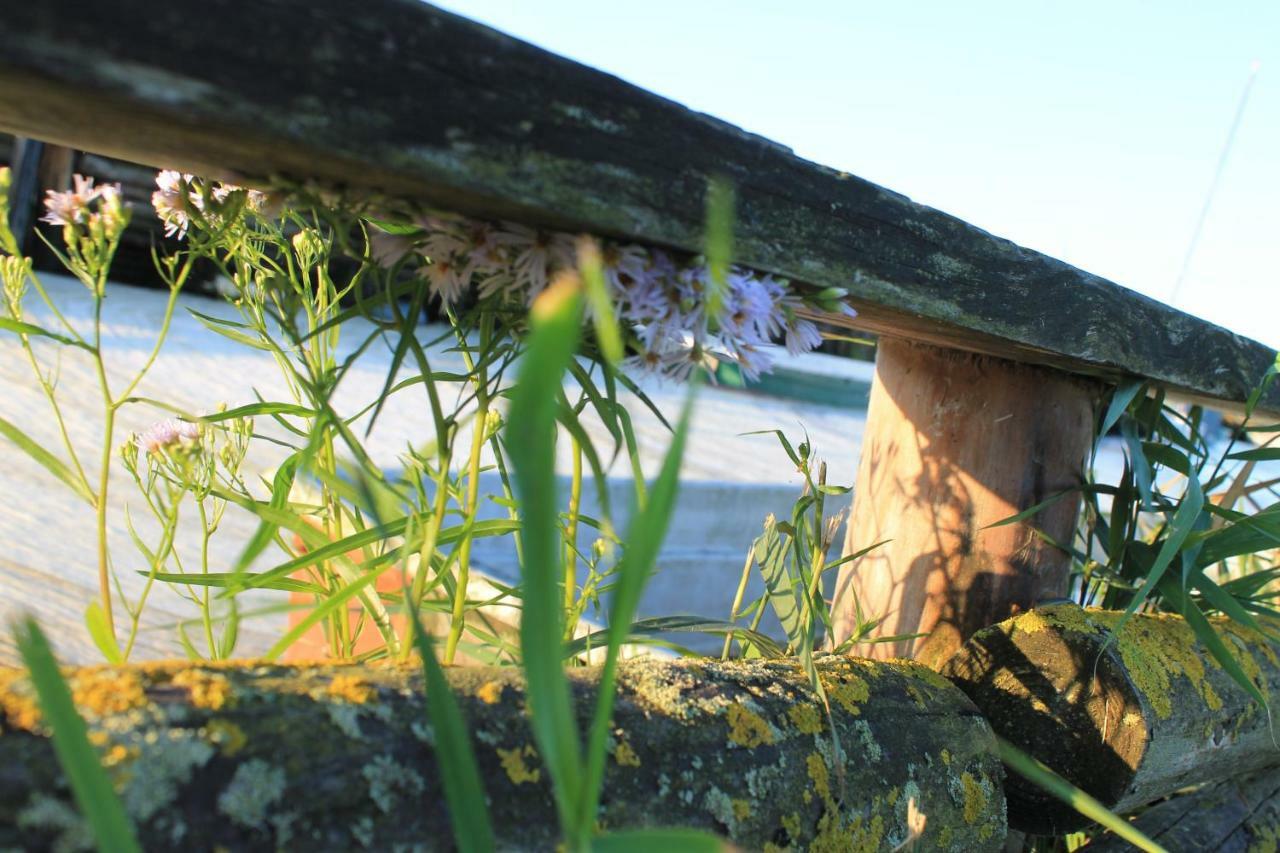 Zum Storchennest Hotel Kemnitz  Luaran gambar